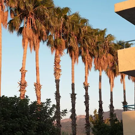 Oasis
